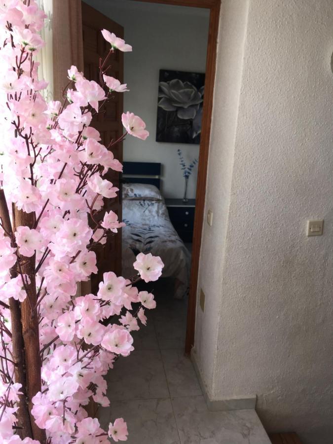 La Mariña Casa Phoenix Bed & Breakfast Bed & Breakfast エクステリア 写真